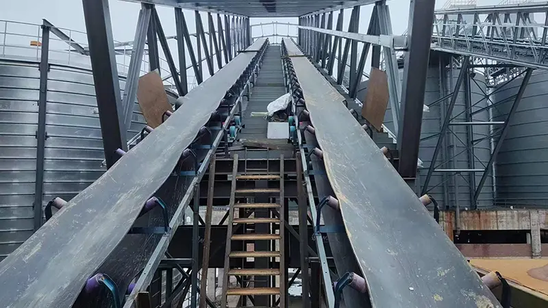 Self Aligning Troughing Idler